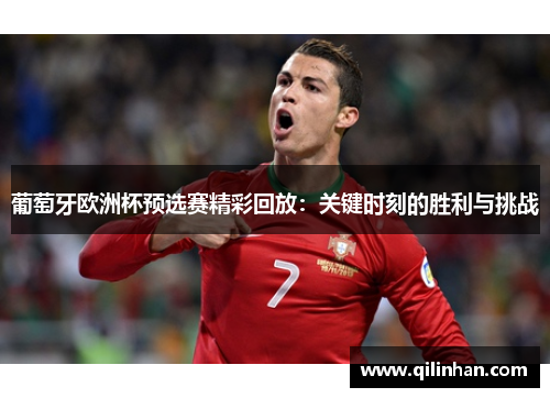 葡萄牙欧洲杯预选赛精彩回放：关键时刻的胜利与挑战