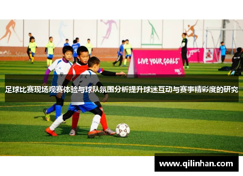 足球比赛现场观赛体验与球队氛围分析提升球迷互动与赛事精彩度的研究