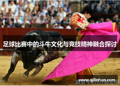 足球比赛中的斗牛文化与竞技精神融合探讨