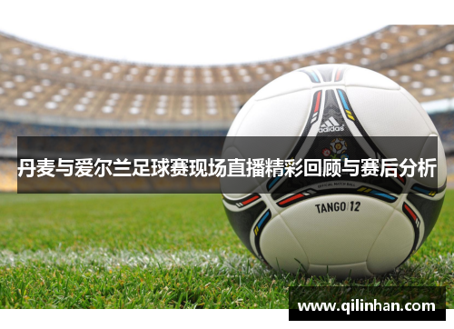 丹麦与爱尔兰足球赛现场直播精彩回顾与赛后分析