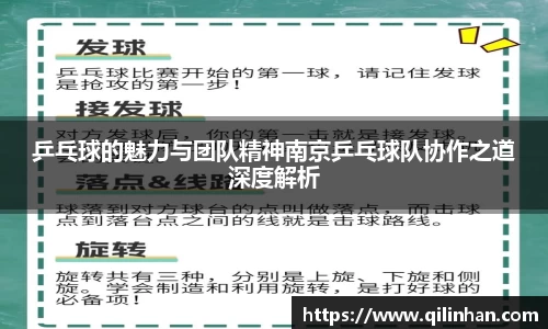 乒乓球的魅力与团队精神南京乒乓球队协作之道深度解析