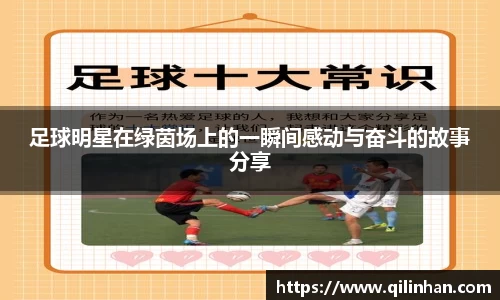 智博19有限公司