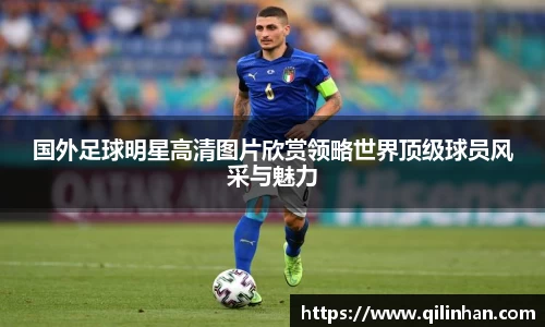 智博19有限公司